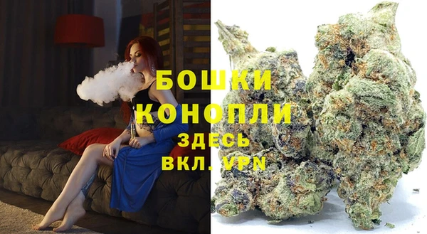дживик Зеленокумск