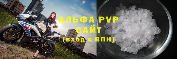 стаф Зерноград